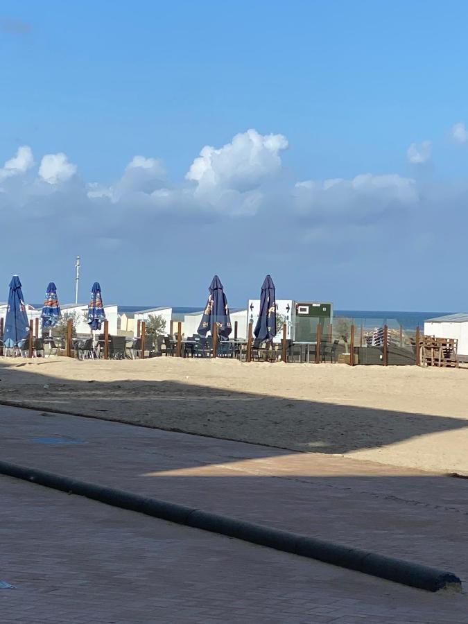 Appartement Rdc Avec 1 Chambre A 5 Metres A Pied De La Digue De La Panne Buitenkant foto